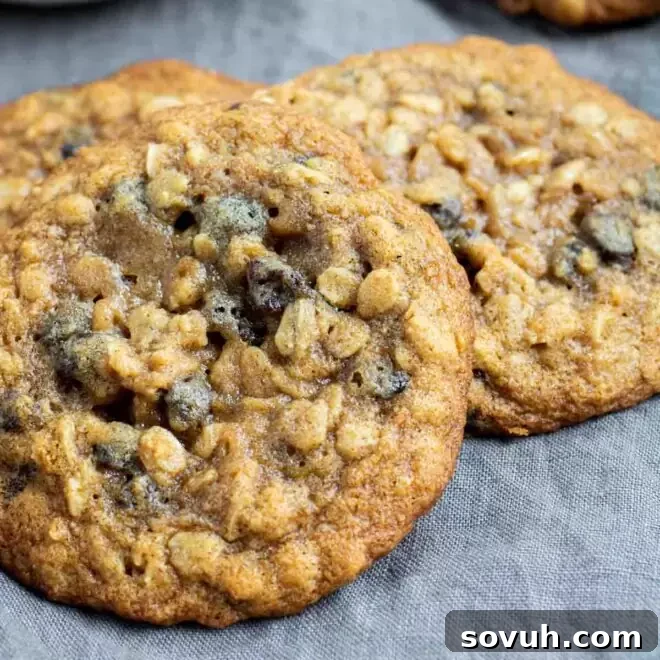 soft and chewy oatmeal raisin cookies on gray napkin