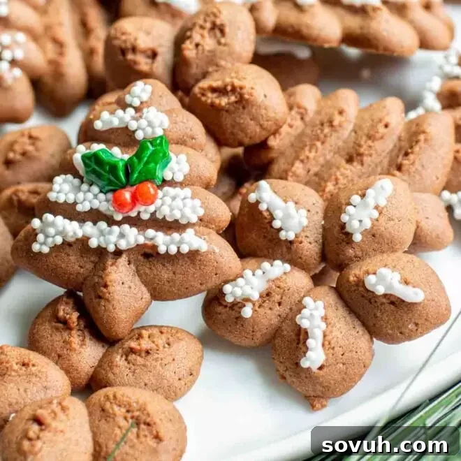 Chocolate Spritz Cookie on a white platter