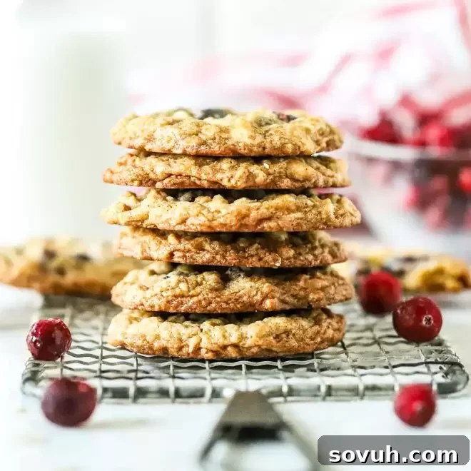 Stack of White Chocolate Oatmeal Cranberry Cookies on a wire rack