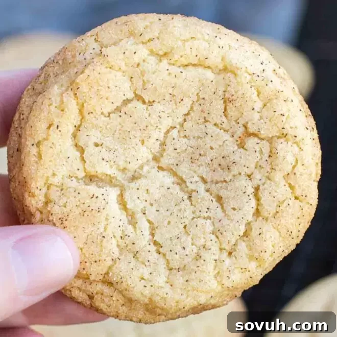 holding Snickerdoodles