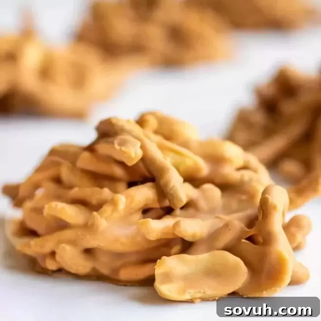 Haystack Cookies with chow mein noodle