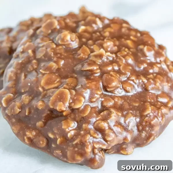 easy No Bake Chocolate Oatmeal Cookies every kid loves