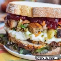 Thanksgiving Leftovers Sandwich