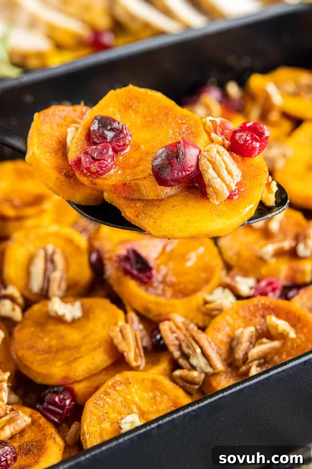 Serving Cranberry Sweet Potato Casserole from a white dish with a serving spoon, highlighting the rich texture and cranberry garnish.