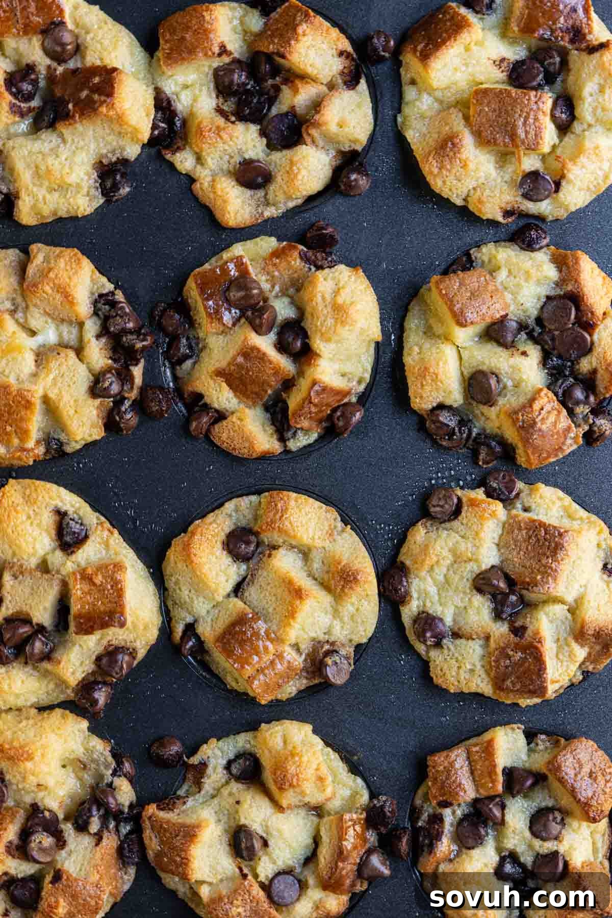Baked muffins topped with chocolate chips and bread cubes arranged on a dark surface.