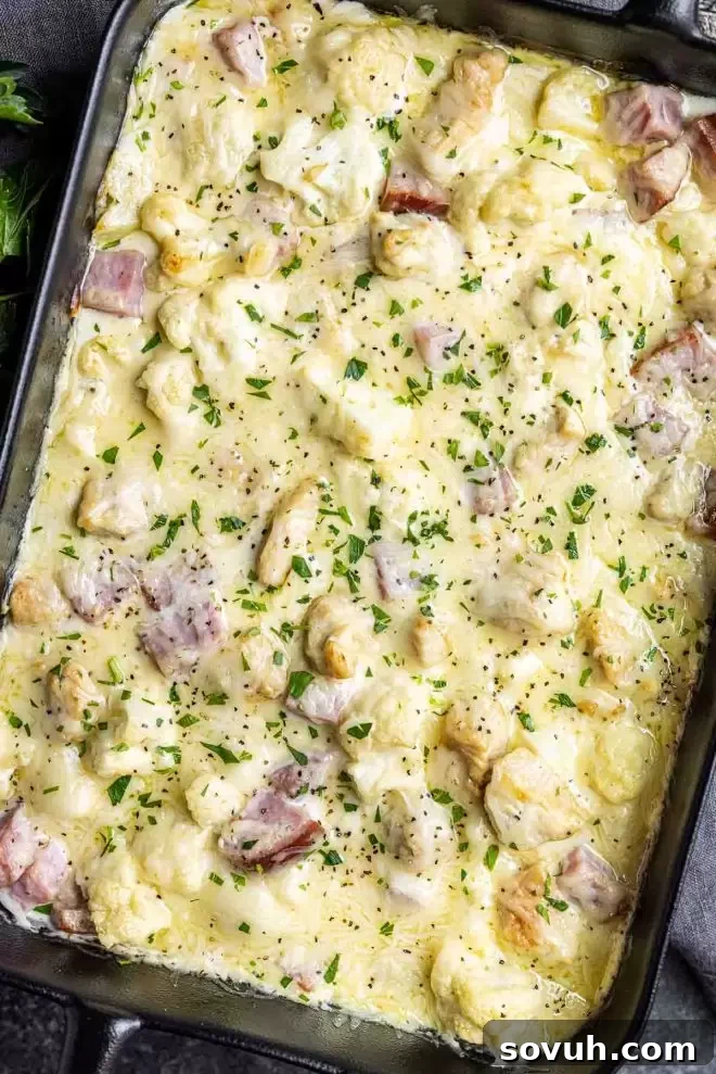 A close-up of the Keto Chicken Cordon Bleu Casserole, garnished with fresh chopped parsley, highlighting its golden-brown, bubbly cheese topping