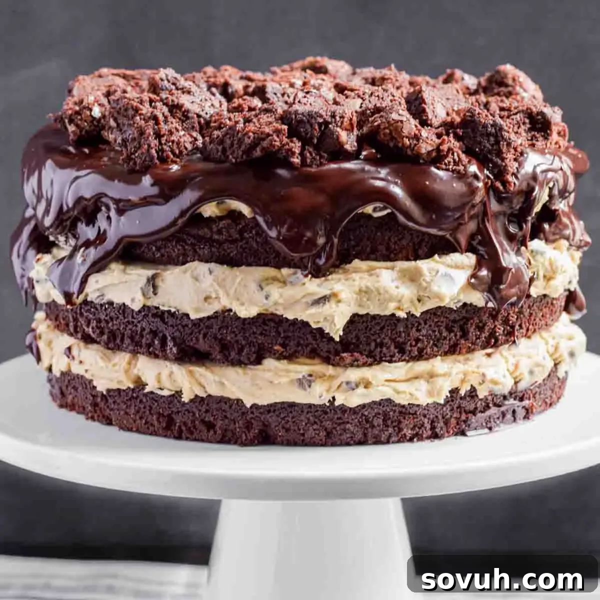 A decadent brownie cake with creamy frosting and chocolate ganache, adorned with brownie chunks, presented beautifully on a cake stand.
