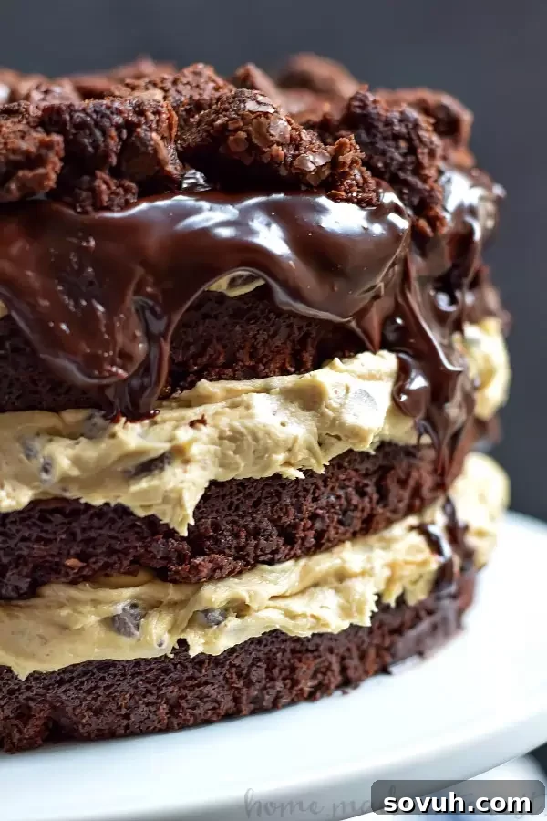 A delicious slice of Brownie Chocolate Chip Cookie Dough Cake, showing the beautiful layers of rich brownie, creamy cookie dough, and a glossy chocolate ganache, ready to be enjoyed.