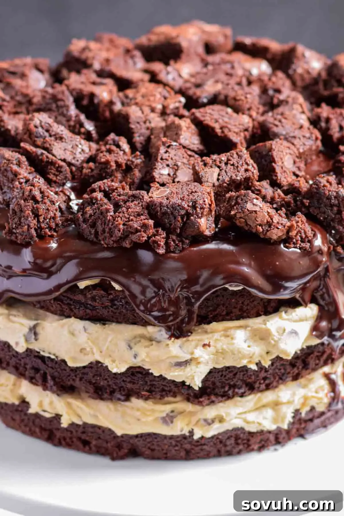 A stunning full view of the assembled brownie cake, topped with a generous layer of chocolate ganache and brownie chunks, ready for serving.