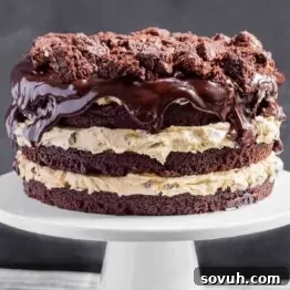 A brownie cake with frosting on a cake stand.