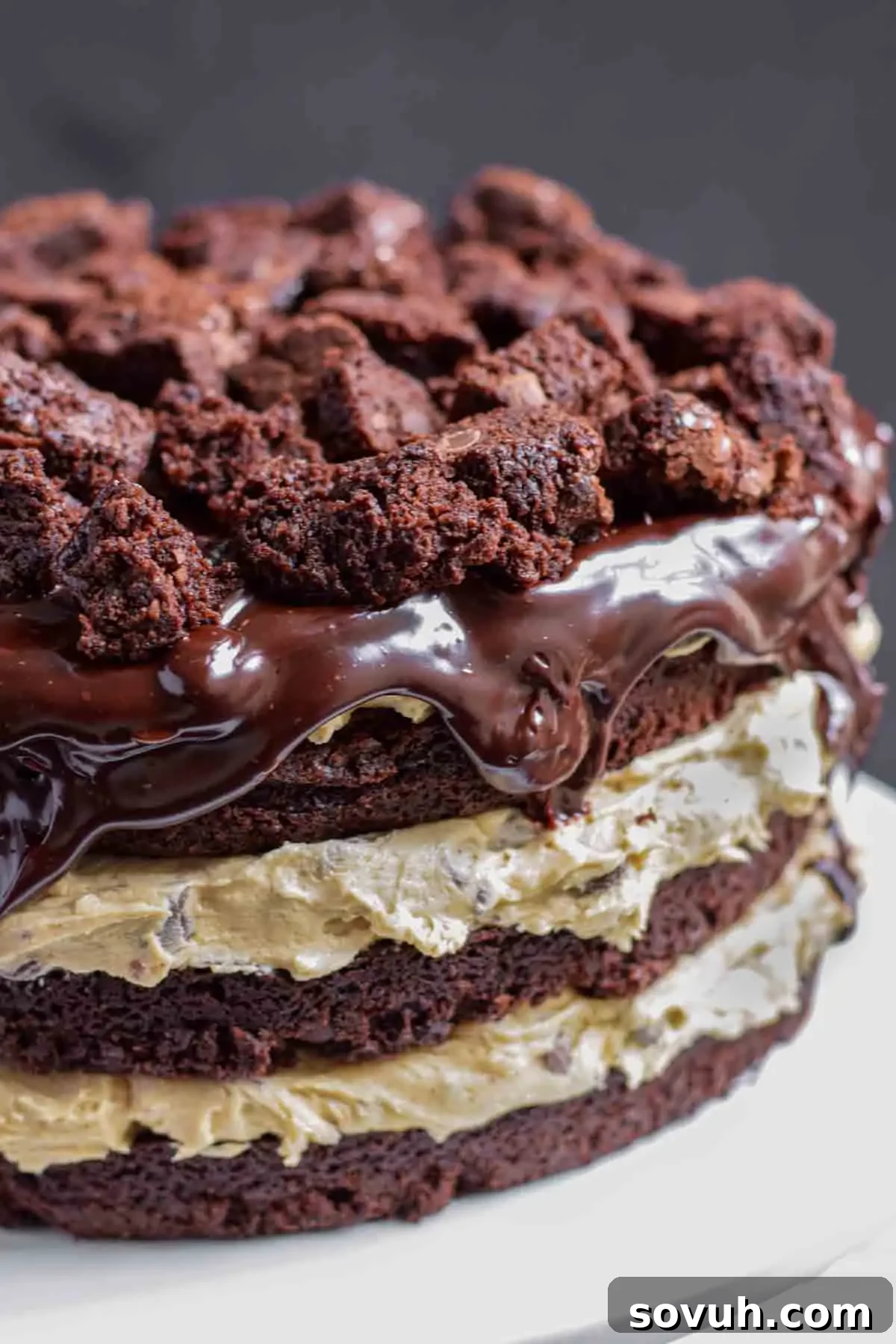 A mesmerizing cross-section of the chocolate chip cookie dough brownie cake, revealing distinct layers of fudgy brownie and creamy cookie dough, served on a white plate.
