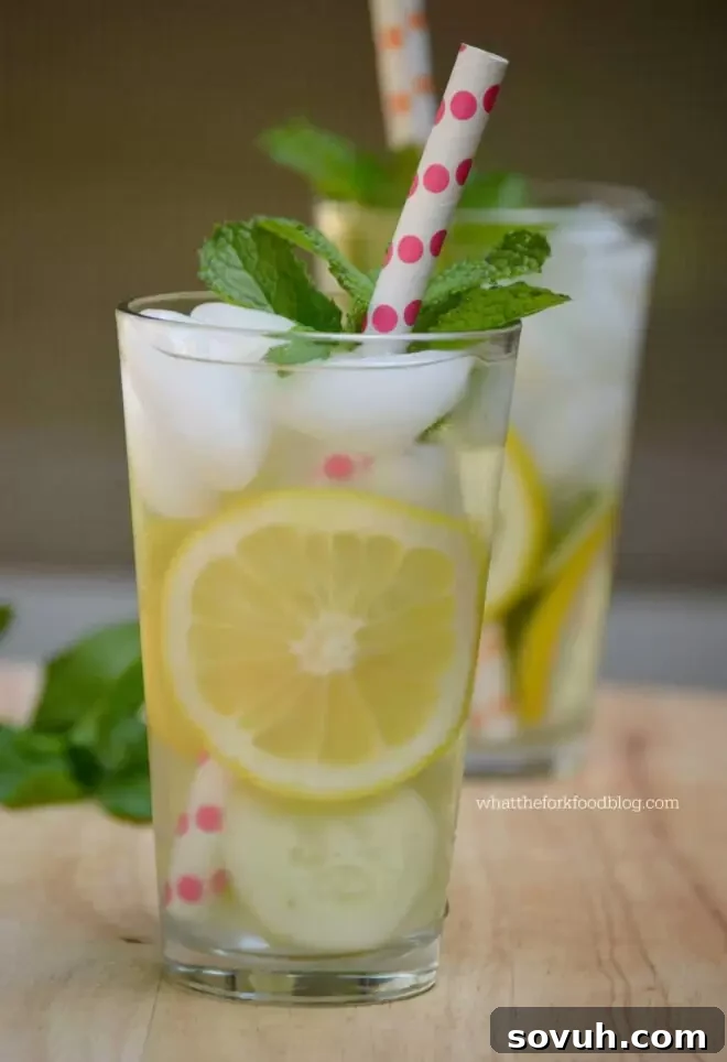 Glass of water with ice and fresh slices of lemon and mint