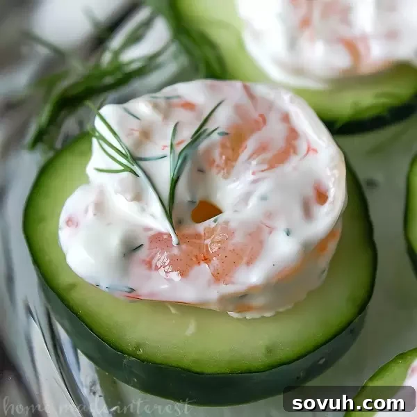 Beautifully arranged Dill Shrimp Appetizer on cucumber slices, perfect for a healthy party starter.