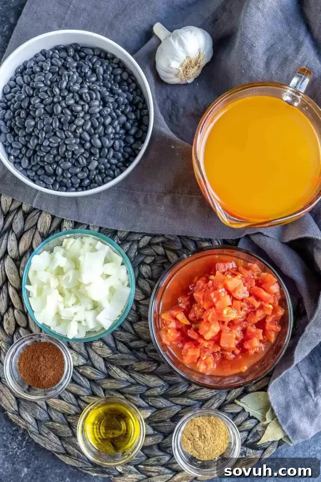 All essential ingredients for preparing Instant Pot Black Beans laid out on a clean surface, including dried black beans, aromatics, and spices.