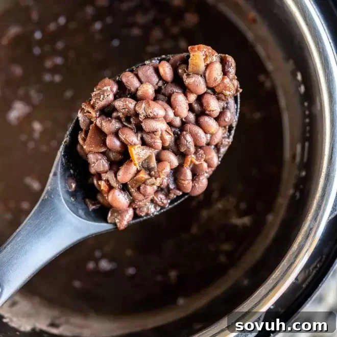 A serving spoon lifting a generous portion of freshly cooked Instant Pot Black Beans, showing their tender texture and rich dark color.