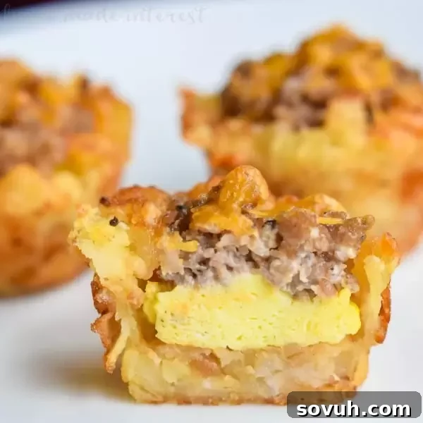Sausage Egg and Cheese Breakfast Tots - a close-up of the delicious bite-sized brunch food, perfect for any gathering.