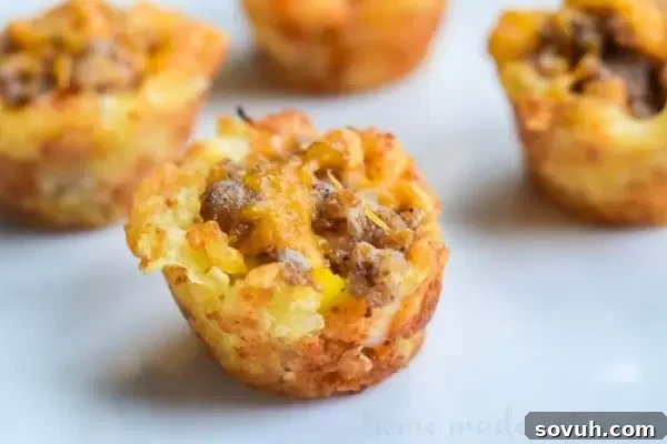 A final serving of Sausage Egg and Cheese Breakfast Tots, perfectly golden and ready to be enjoyed.