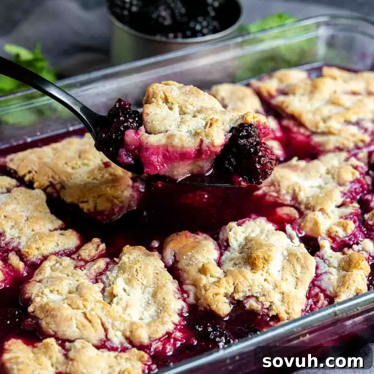 serving easy blackberry cobbler