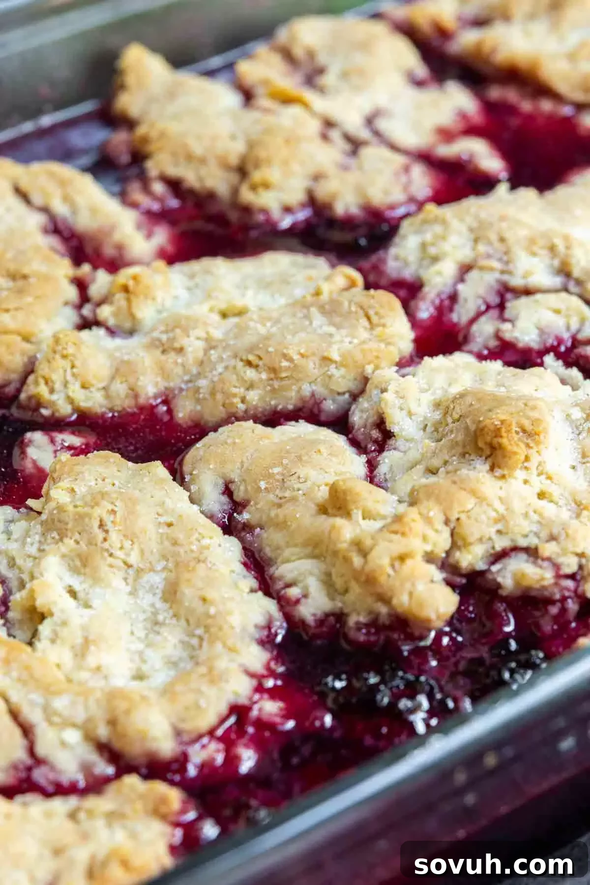 easy blackberry cobbler in dish