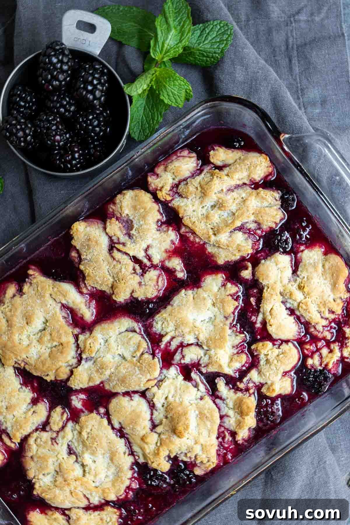 easy blackberry cobbler in dish with a cup of fresh blackberrys