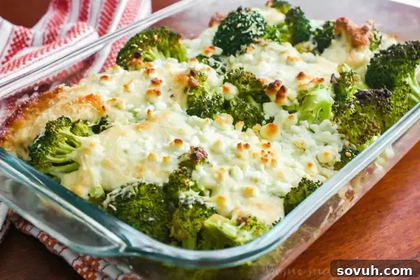 Cheesy Jalapeno Chicken and Broccoli Casserole: A comforting and easy low carb casserole featuring juicy chicken, crisp broccoli, and a spicy, creamy cheese sauce, topped with melted mozzarella and parmesan. Ideal for healthy family dinners.