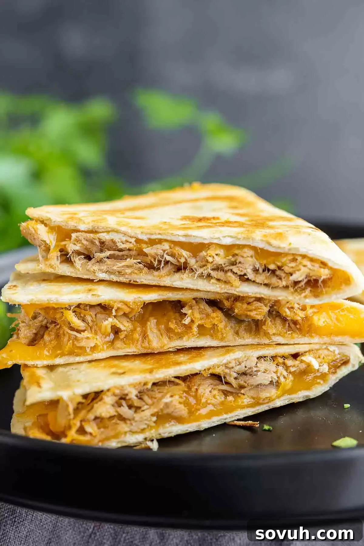 Stack of freshly made Pulled Pork Quesadillas on a white plate, ready for serving.