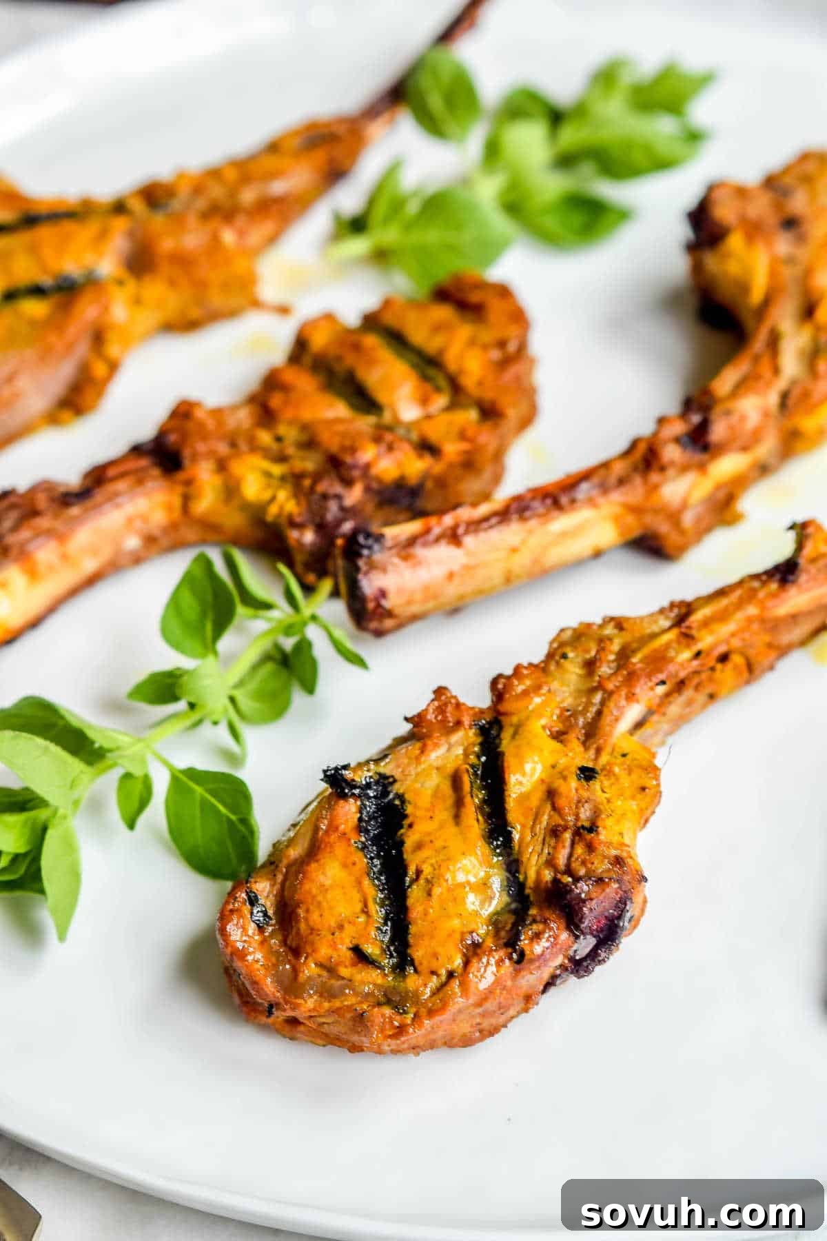 A serving of Tandoori Grilled Lamb Chops beautifully arranged on a white platter, showcasing a perfect sear.