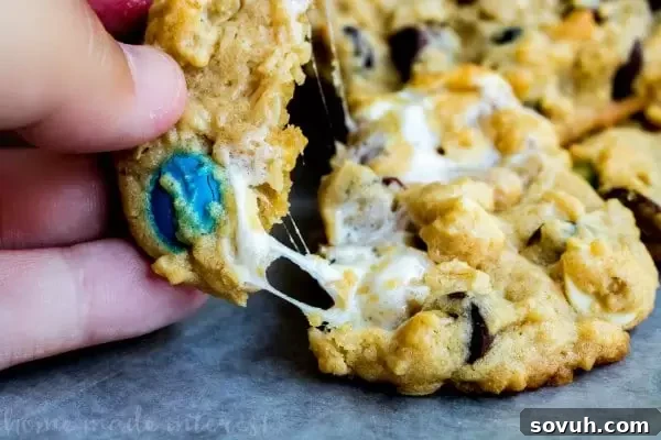 marshmallow trail mix cookies