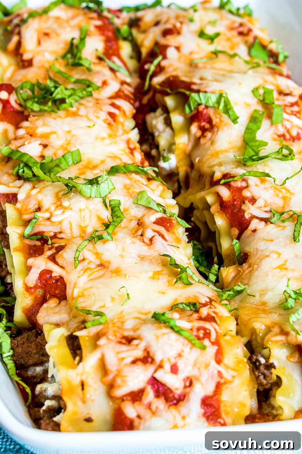 Lasagna Roll Ups topped with sauce and melted mozzarella cheese