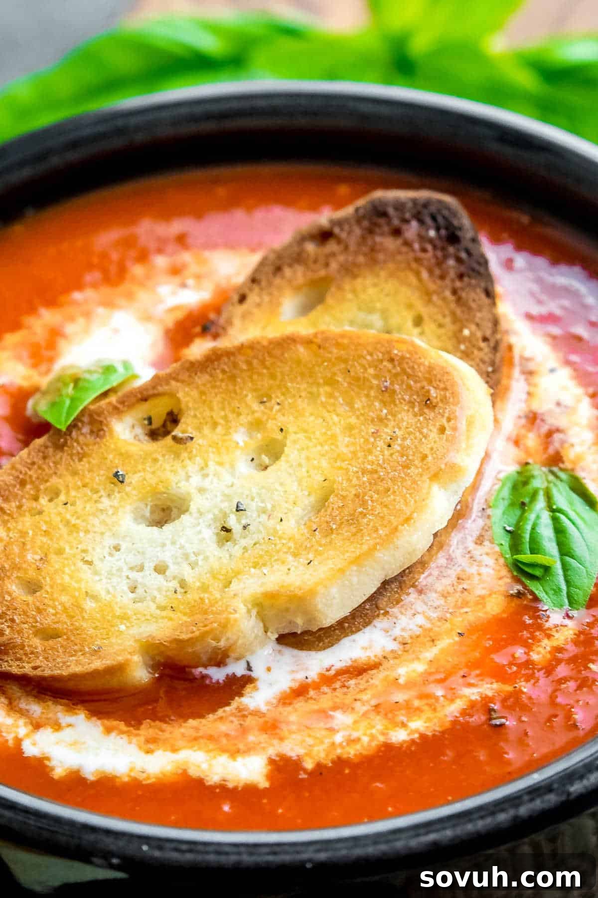 Roasted Red Pepper Soup in a black bowl with crostini on the side