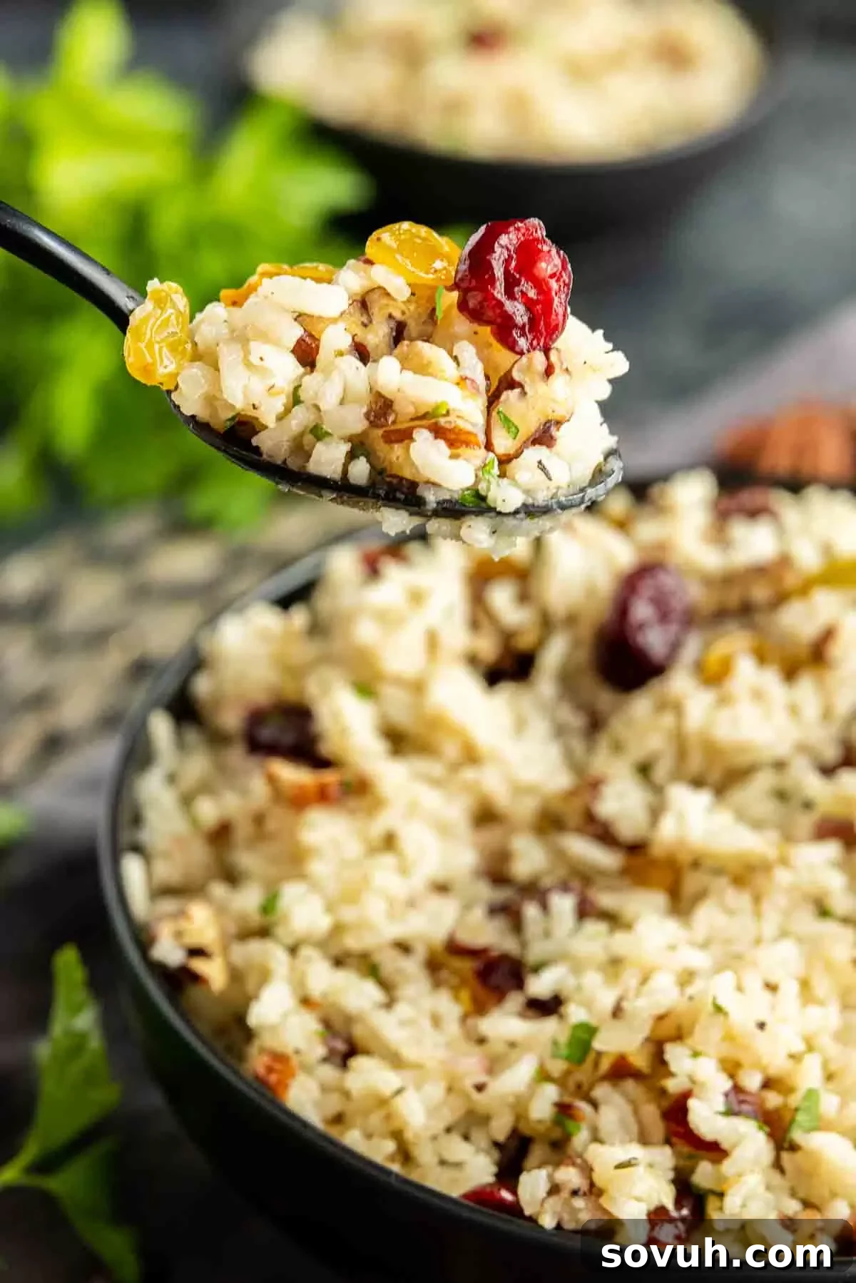 A serving of Pecan Rice Pilaf topped with additional toasted pecans, dried cranberries, and fresh parsley in a rustic bowl.