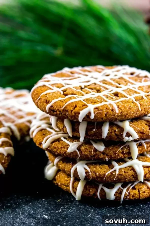 A stack of soft gingersnap cookies, beautifully drizzled with white chocolate, resting on a slate surface.