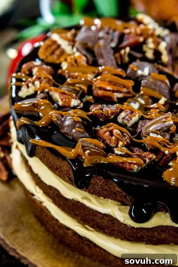 Pecans, turtle candy, fudge, and caramel on top of a stunning brownie cake