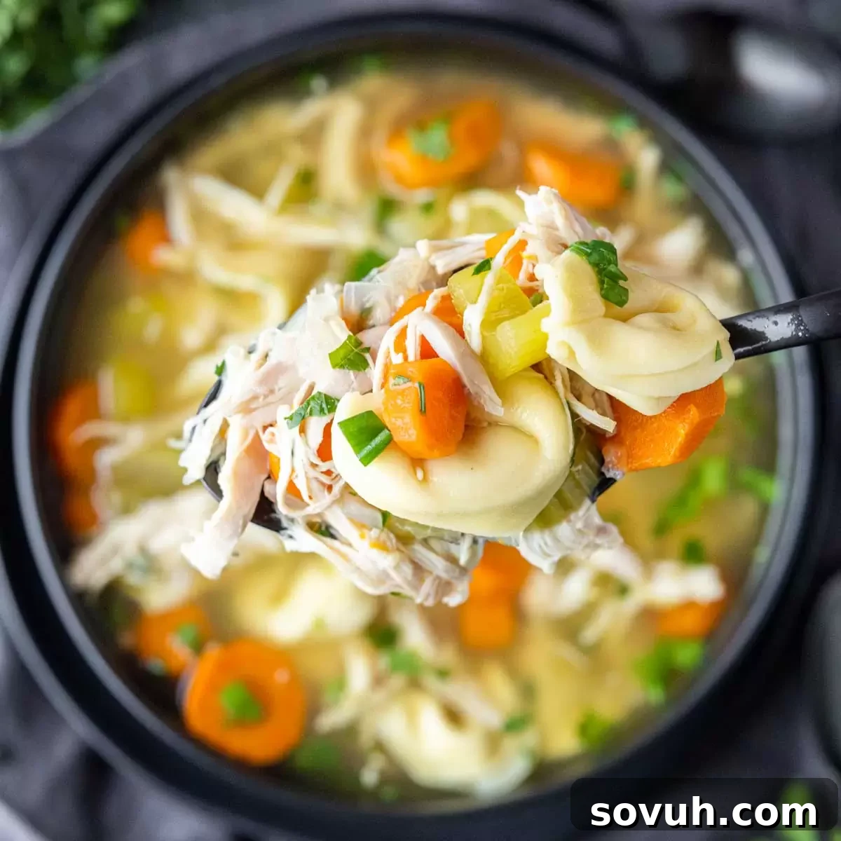 Rotisserie Chicken Soup with Tortellini on a black spoon, ready to be enjoyed