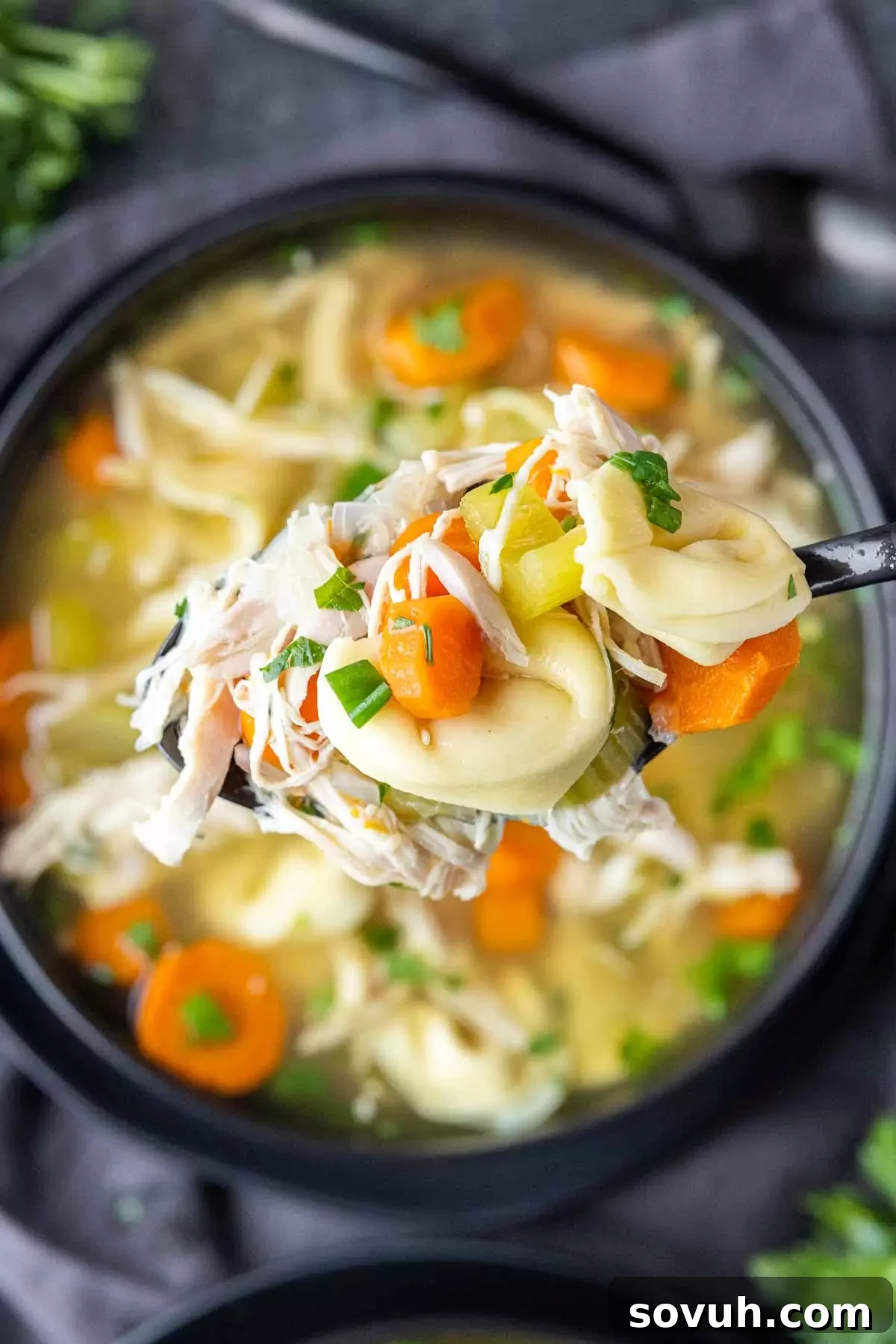 A spoonful of Rotisserie Chicken Soup with Tortellini being lifted from a bowl