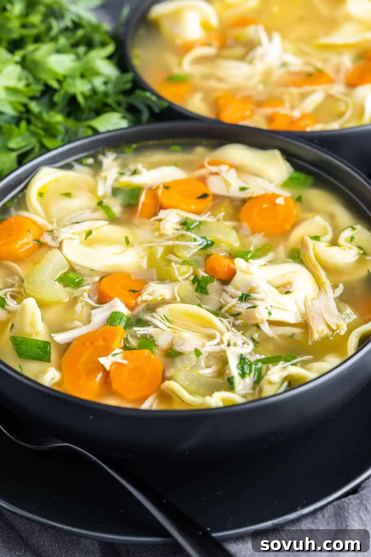 Another view of Rotisserie Chicken Soup with Tortellini in a black bowl, garnished and ready to eat
