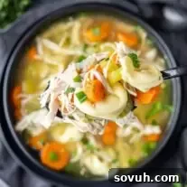 Rotisserie Chicken Soup with Tortellini on a black spoon