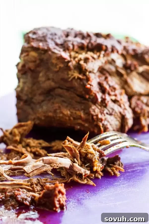 Shredded Mexican beef barbacoa for enchiladas