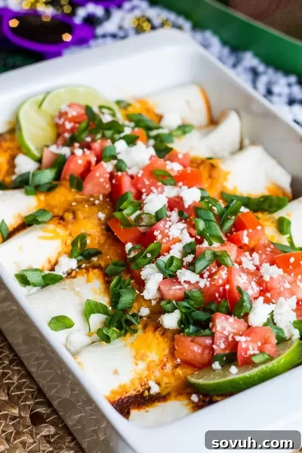 Beer braised enchiladas topped with cheese and fresh garnishes