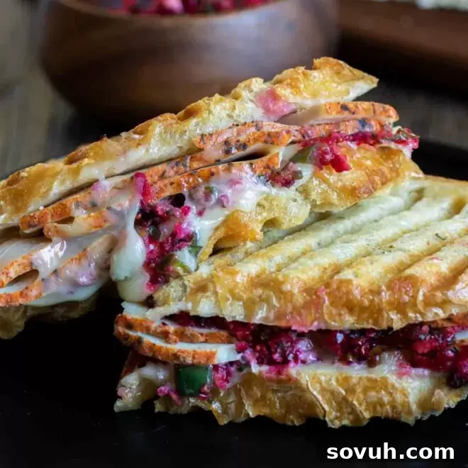 Cut Turkey and Cranberry Panini on a plate