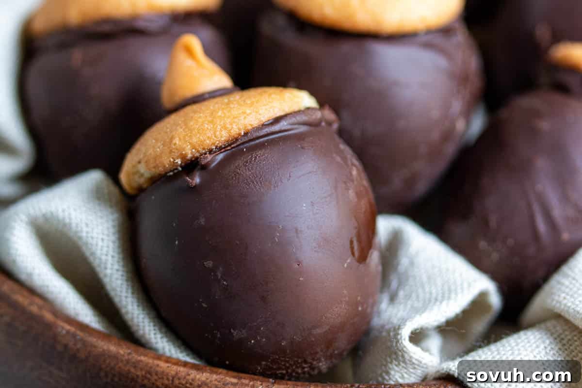 Close-up of chocolate-covered acorn-shaped treats with light brown tops, resting on a fabric-lined surface.
