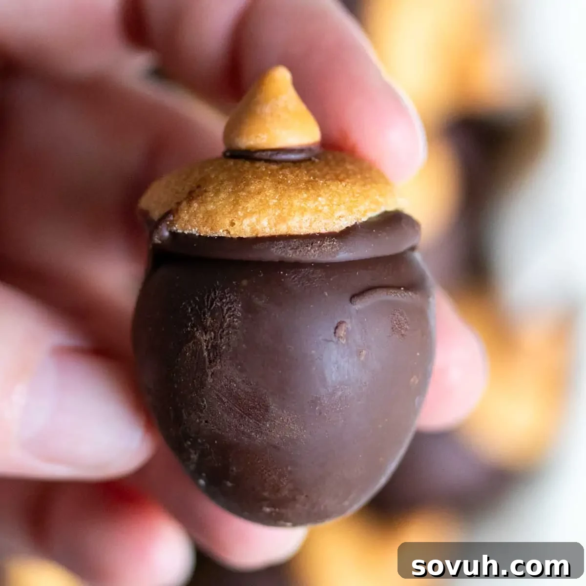 A hand holding a chocolate treat shaped like an acorn, with a brown frosting cap.