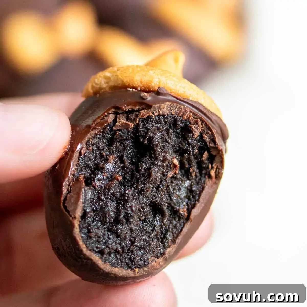 A hand holding a bitten chocolate-covered Oreo truffle with a peanut butter topping.
