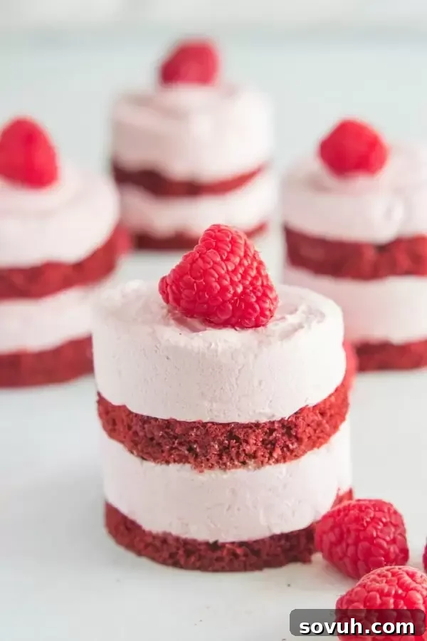 Raspberry Mousse in between layers of red velvet cake with a fresh raspberry on top.