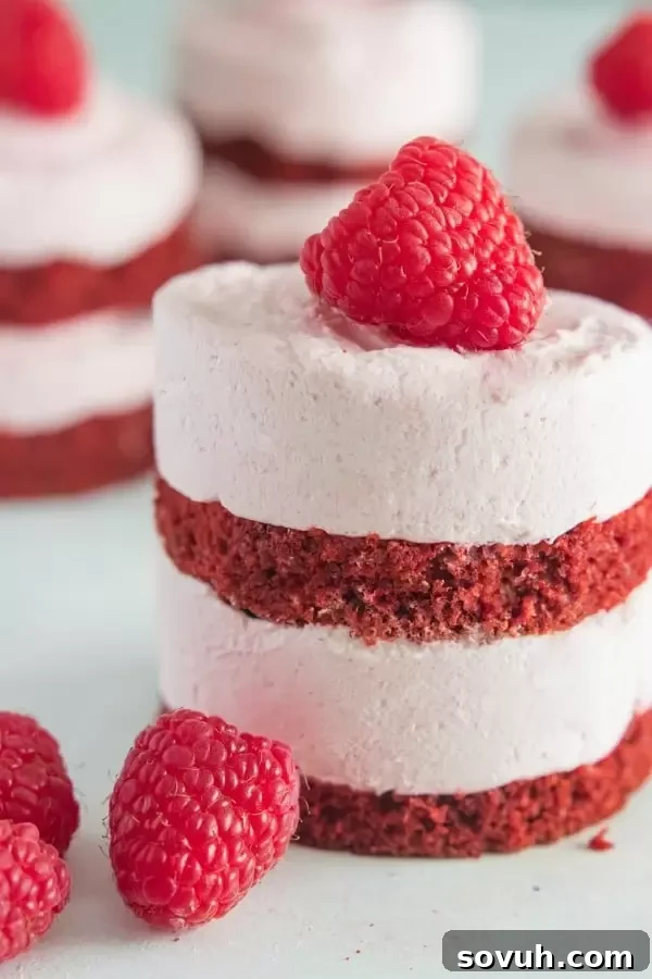 Close up of the three layers of a Raspberry Mousse Red Velvet Cake. Thick layers of raspberry mousse filling in between thin layers of red velvet cake.