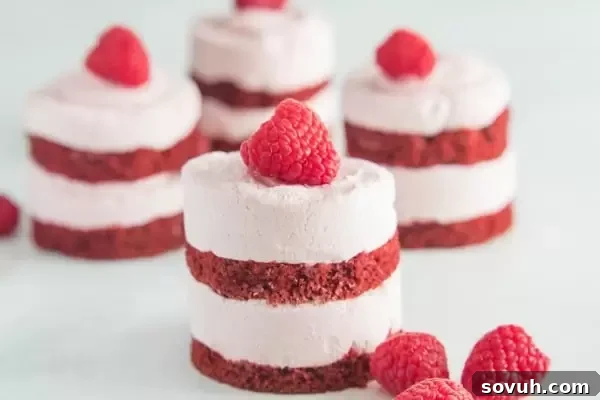 Four mini raspberry mousse red velvet cakes