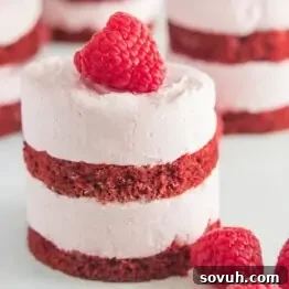 A beautiful mini raspberry mousse red velvet cake with raspberry mousse and red velvet cake layers topped with a fresh raspberry.