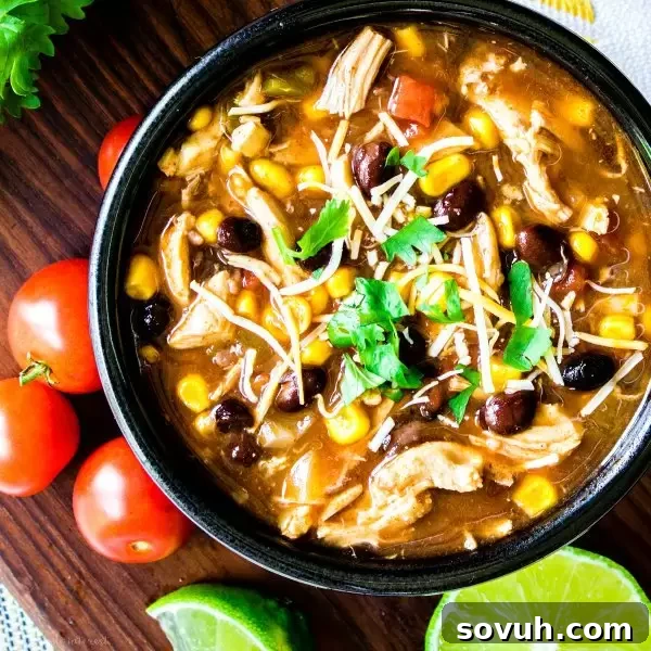 Delicious Chicken Enchilada Soup with fresh tomatoes and lime wedges on top