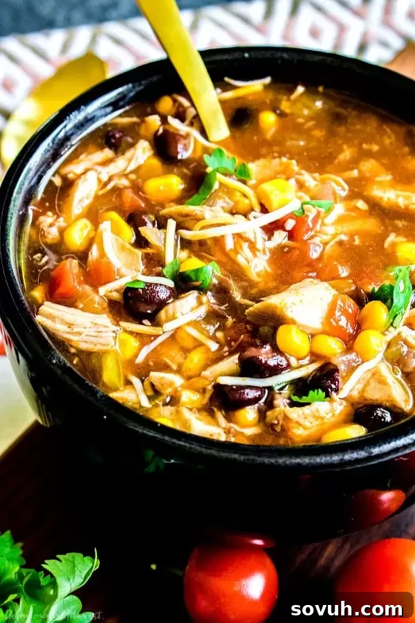 Hearty Chicken Enchilada Soup served in a black bowl, garnished with fresh cilantro