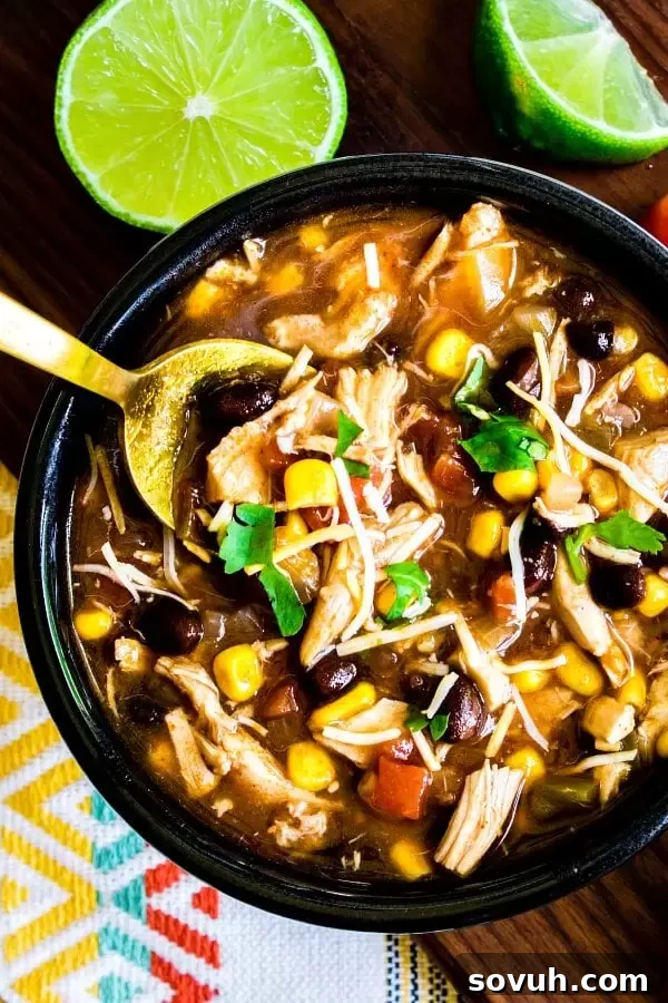 Close-up of Pressure Cooker Chicken Enchilada Soup with a gold spoon, ready to enjoy